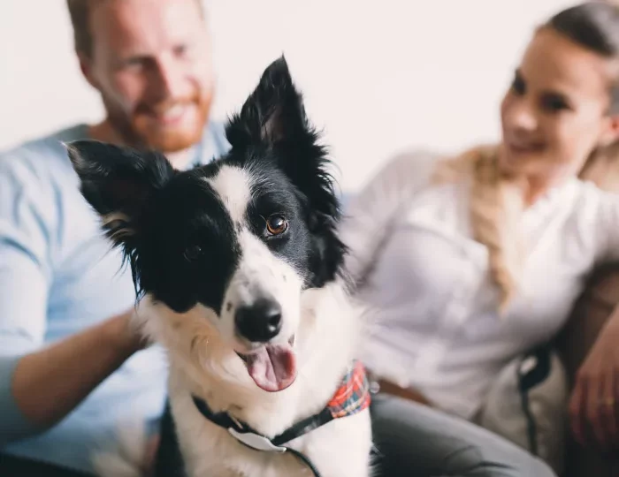 a man and woman sitting on a couch with a dog at The Auberge of Tyler